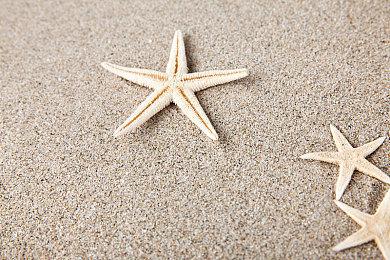 海信成为《黑神话：悟空》合作伙伴 联动新预告公布